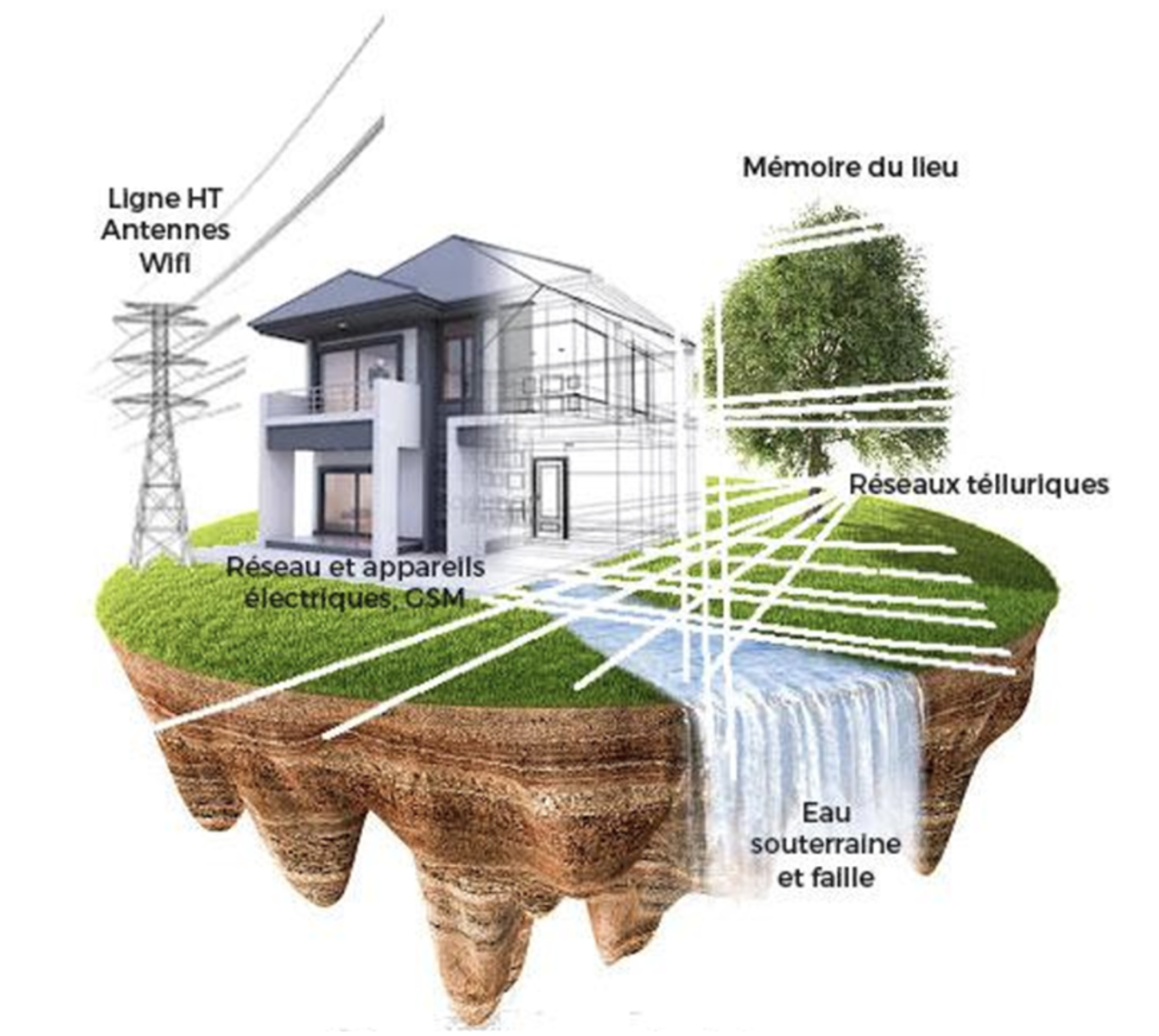 geobiologie
